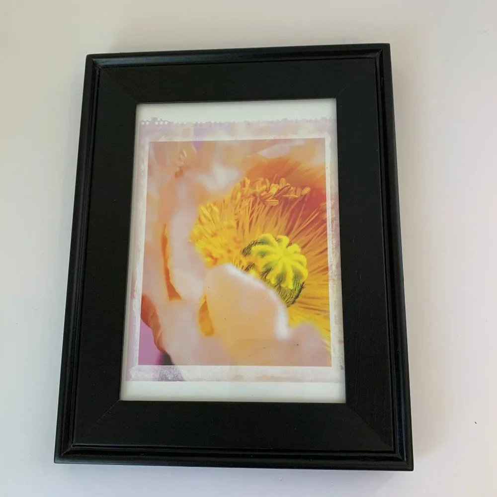 Ikea Framed Poppy Print Hanging Picture Black Frame 7x9 Wall Art